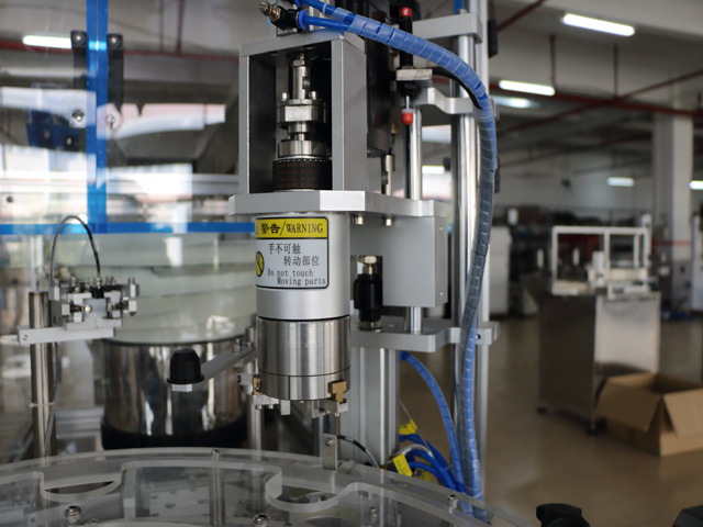 Pokrovna glava ZA VIJAČNI POKROV.jpg