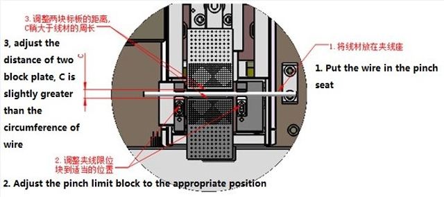 vijugasta ilustracija.jpg