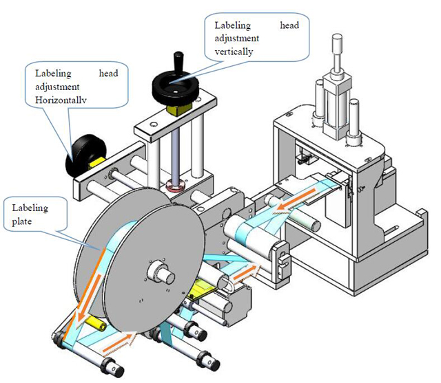 Označevanje head.jpg